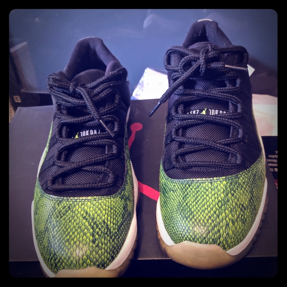 Snake skin 11